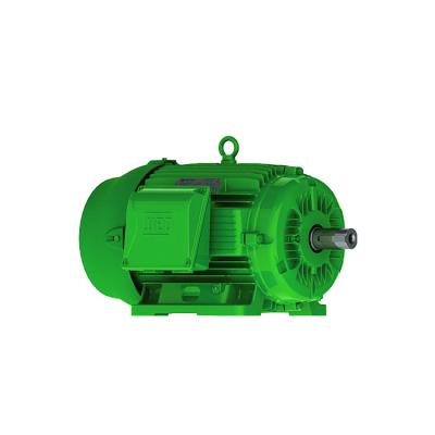 China Three-phase motor totally enclosed with WEEE and packaging directives for the European market for sale