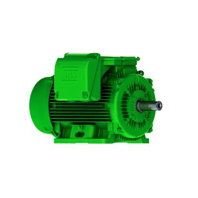 China Totally Enclosed W22 AC Three Phase Induction Motor with CE and WEEE Directive for sale