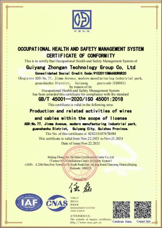 ISO 45001 - Guiyang Zhongan Technology Group Co., Ltd.