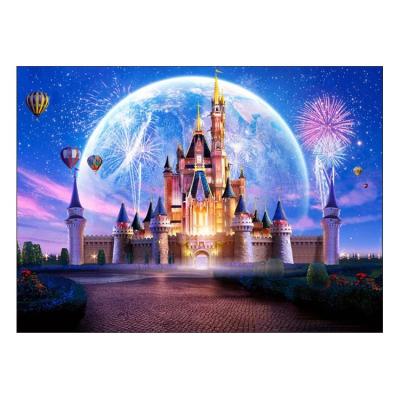 China Disneys Castle 5D anime cartoon handmade cross stitch full diamond diy painting retail wholesale or custom made American style for sale