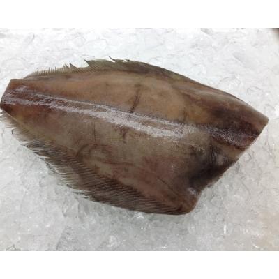 China Frozen Halibut FROZEN for sale