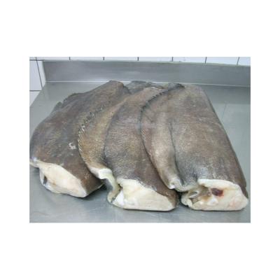 China FROZEN Greenland Halibut for sale