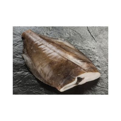 China FROZEN Greenland Halibut for sale