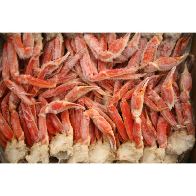 China FROZEN lobster and crab for sale