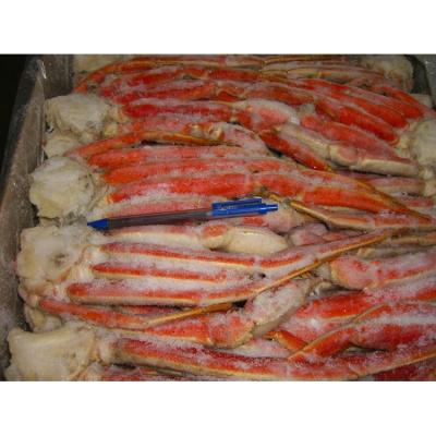 China FROZEN lobster and crab for sale