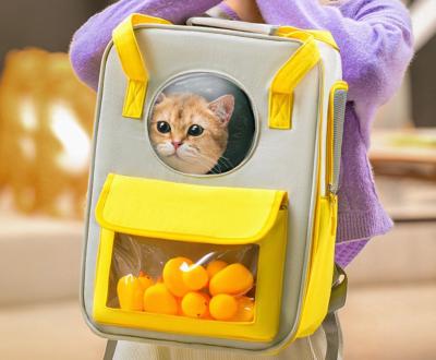 China Portable Durable Astronaut Deluxe Clear Bag Dog Carrier Dog Carrier Backpack Space Cat Pet Carrier Backpack With 5pcs Ducks for sale