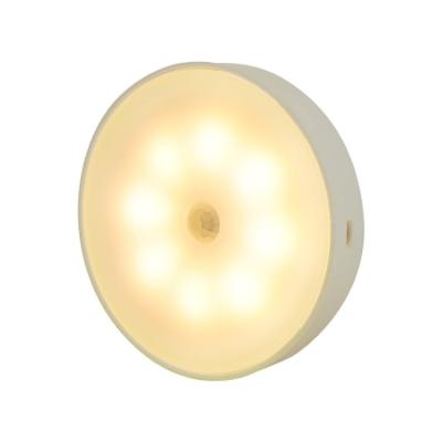 China One lamp with two color lights to be choose Wireless USB Smart Two Color Cabinet Light Wireless Body Motion Sensor Light (Warm and White Light) for sale