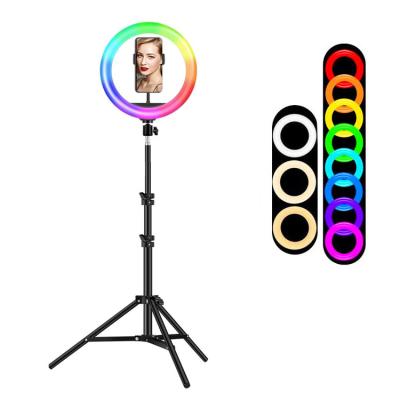 China Led Selfie Ring Light RGB Ring Light Complement 10 Inch Light Beauty Selfie Ring Light With Extendable Tripod Stan For Youtube for sale