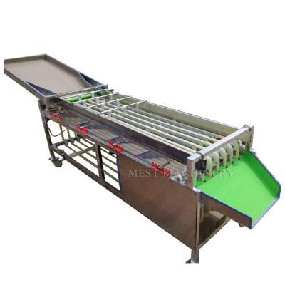 China food & Beverage Plant Silica Gel Conveyor Belt Fruit And Vegetable Grader Sorter Machine for sale