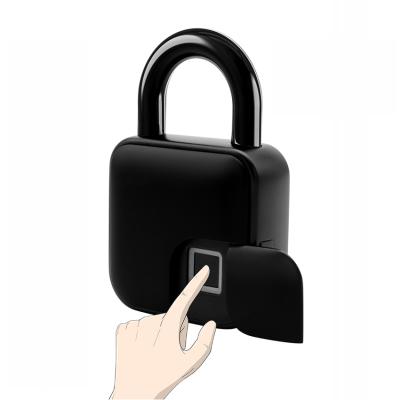 China Promotion Zinc Alloy Instrument Shop Car Scooter Biometric Fingerprint Padlocks Travel Waterproof Backpack Briefcase Fingerprint Lock Small for sale