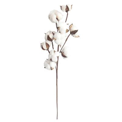 China DIY Cotton Stems Farmhouse Floral Artificial Plants Decor Dried Natural Dried Cotton Floral Artificial Flower Branch for sale