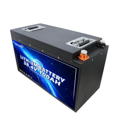 China Solar system LiFePO4 lithium iron phosphate Battery12v 24v 36v 48v 100ah 200ah 300ah 400ah lifepo4 battery pack for sale