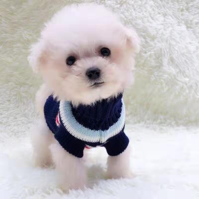 China Sustainable Cheap Price Hand Knitted Sweater Pet Clothes Handsome Keep Warm Pet Clothes for sale