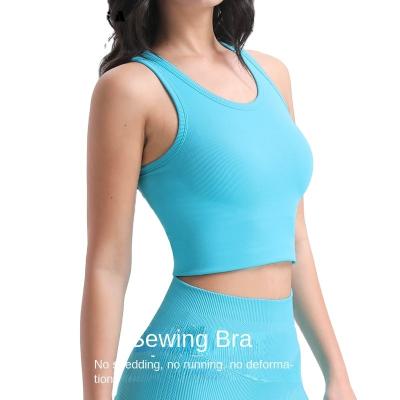 China 2023 Breathable Custom Sport Yoga Top Workout Bra Gym Padded Gym Bras Ladies Sports Vest Women High Support Yoga Sports B for sale