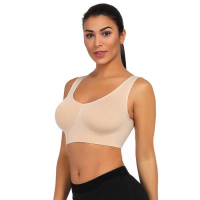 China 2019 Best Selling Sports Underwear Women Casual Yoga Bra Seamless Top for sale