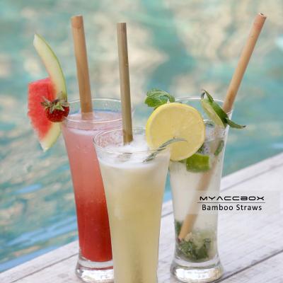 China Hot Selling Eco-Friendly Biodegradable Amazon Eco Natural Reusable Smoothie Drinking Straw Bamboo for sale