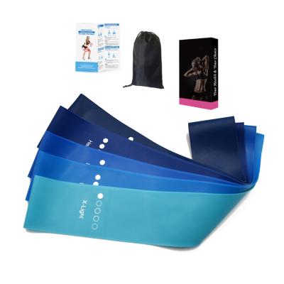 China Blue Fitness Set of 5 Pcs Portable Custom Eco Friendly Elastic Gym Loop Resistance Bands for sale