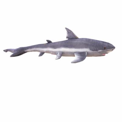 China Custom New Trend Sleeping Product Travel Soft Hammerhead Fish Pillow OEM Gift 60cm Animals Sea Kids Gift 60cm Shark Doll Plush Toy Creative for sale