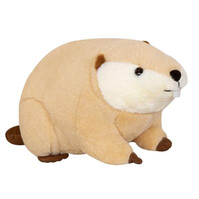 China Free Sample New Arrival Fish Animal Stuffed Animal Plush Soft Beaver Rat Plush Toys OEM Fashion for sale