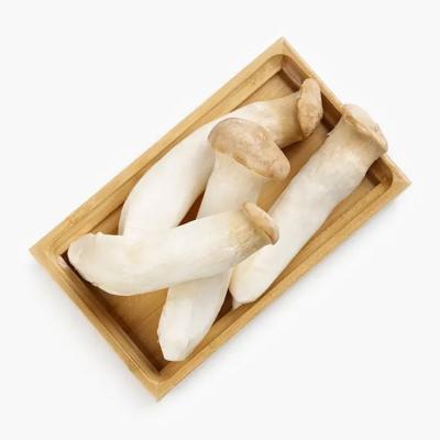 China High Quality Cheap Wholesale FROZEN Natural Trumpet Mushroom King Oyster King Pleurotus Eryngii for sale