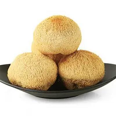 China Lion's Mane Mushrooms Frozen Natural Cultivated Lion's Mane Mushrooms Organic Wholesale FROZEN Hericium Erinaceus for sale