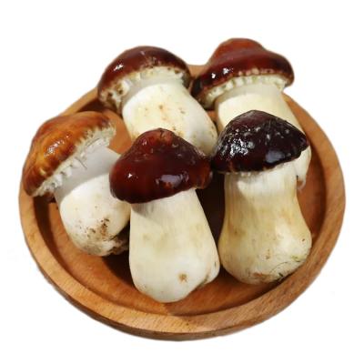 China wholesale FROZEN stropharia organic stropharia rugosoannulata wine stropharia for sale