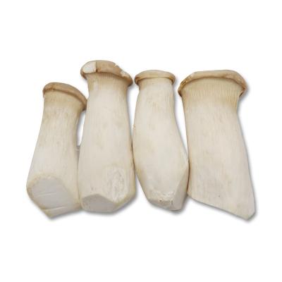 China Fresh Cultivated Fresh Natural Pure Natural Trumpet Mushroom Oyster King Pleurotus Edible Eryngii for sale