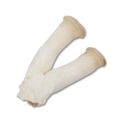 China High Quality Fresh Frozen King Trumpet Mushroom King Oyster Mushroom Cultivated Pleurotus Eryngii for sale