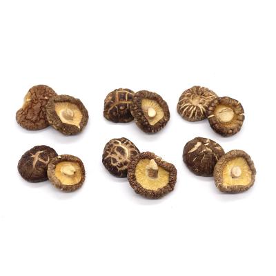 China High Nutritional Value Dried Flower Shiitake Mushroom Dried Flower Mushroom Natural Mushroom The New for sale