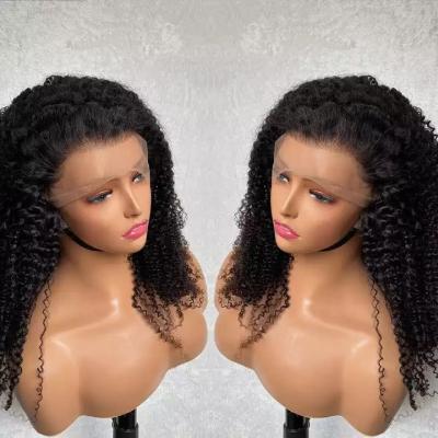 China Curly Curly Lace Front Wig Water Wave HD Cheap Afro Hair Body Wave Lace Frontal Wig Vendor Full Lace Hair Wigs For Black Women for sale