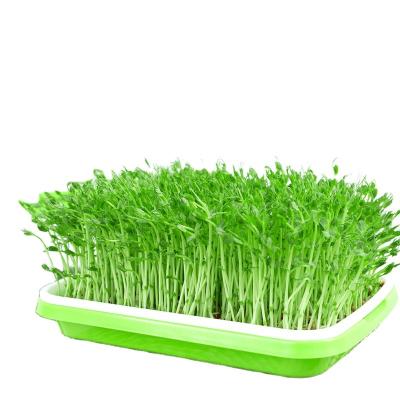 China CLASSIC For Your Pick Nursery Pot Machine Grow Flat Plants Seedling Trays Reusable Tray for sale