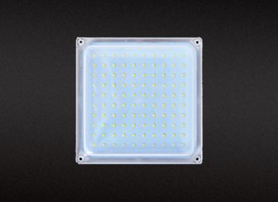 China IP68 Waterproof Led Cold Storage Lamp Silica Gel Sealed 20W for sale