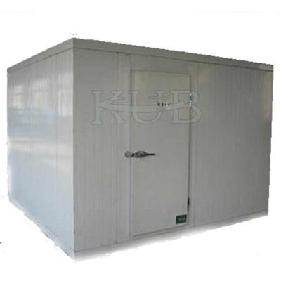 China Meat storage cold storage 55 cubic meters temperature -20 degrees cold storage price for sale