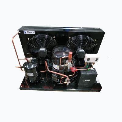 Cina Prodotto in Cina 1.5HP a 3HP Tecumseh compressore condensante unità frigorifero camera fredda condensante unità in vendita