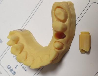 China Alto modelo dental de la impresión 3D de la precisión ISO13485 Trushine en venta