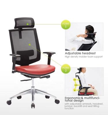 China (Size) Cheemay Office Mesh Back Care Adjustable High Quality Ergonomic Executive Chair for sale