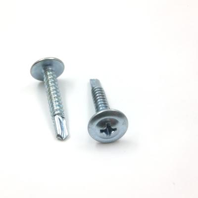 China Truss Phillip Stainless Steel Wafer Truss Head Self Drilling Screw for sale