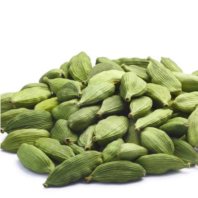 China Green Card Wholesale Dried Round Beans Premium Green Cardamom Spice for sale