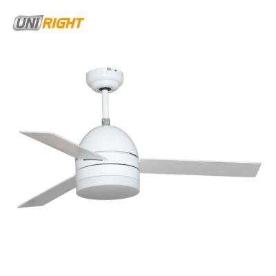 China Hot New Wifi Decorative Ceiling Fan With Cooper Motor for sale