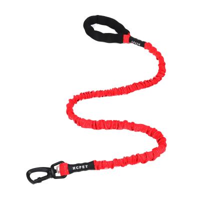 China Dogs Pet Traction Rope Dog Rope Traction Walking Walking Bright Elastic Nylon Belt for sale