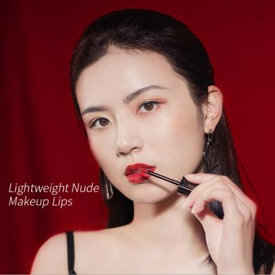 China Waterproof Available In Matte Liquid Lipstick Cosmetic Lipgloss Stock Pigment Clear Velvet Lip Gloss for sale