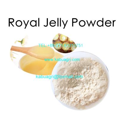 China 10-Dah Organic Freeze-Dried Royal Jelly Powder KBRJ 4.0%, 5.0%, 6.0% for sale