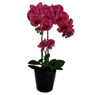 China Polyester Artificial Flower Phalaenopsis Orchids Floral Potted Orchids 3D Printed Orchid Plants for sale