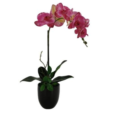 China Artificial Ceramic Phalaenopsis Orchid Potted Phalaenopsis Orchid Polyester Silk Touch Potted Real Orchids Artificial Floral for sale