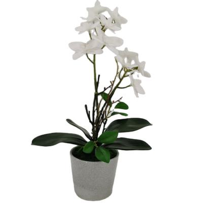 China Artificial Fabric Orchid Phalaenopsis Goods Using 3d Printed Pure White Orchid Decorative Orchid Fabletics Artificial Oasis for sale