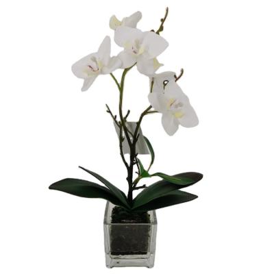 China Polyester Quality Artificial Orchid White Artificial Orchid With Water Artificial In Glass Pot Flower Decorative Silk Orchid for sale