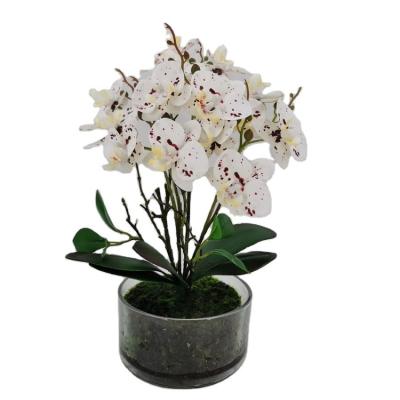 China 3D Polyester Printed Artificial Orchid In Glass Jar Orchid Artificial Silk Flower Decorative Orchid Floral Plants for sale