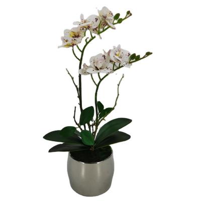 China 2022 Polyester Artificial Flower Decorative Orchid Plants Silk Orchid Flower Orchid for sale