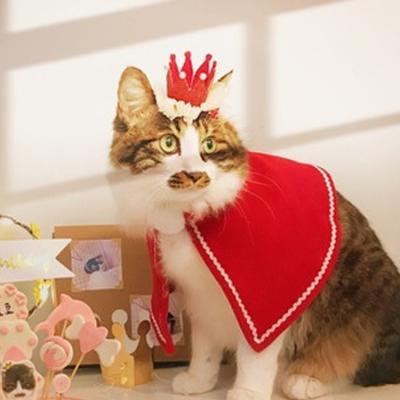 China Weego Sustainable High Quality Pet Cat Dog Clothes Pet Accessories Hat Christmas Cap for sale