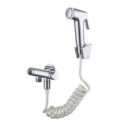 China / 2021 New 304 Stainless Steel Toilet Seat Spout for sale